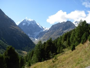 Mont Collon